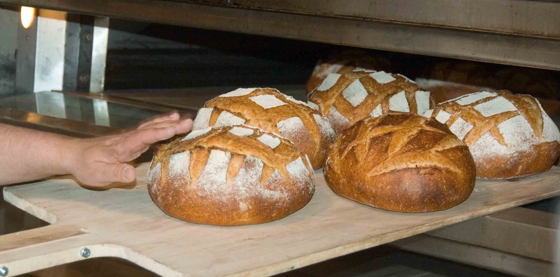 Pães artesanais recém-saídos do forno da Flor das Américas